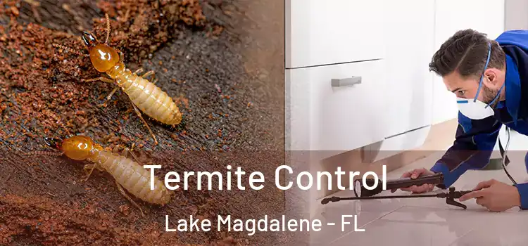 Termite Control Lake Magdalene - FL