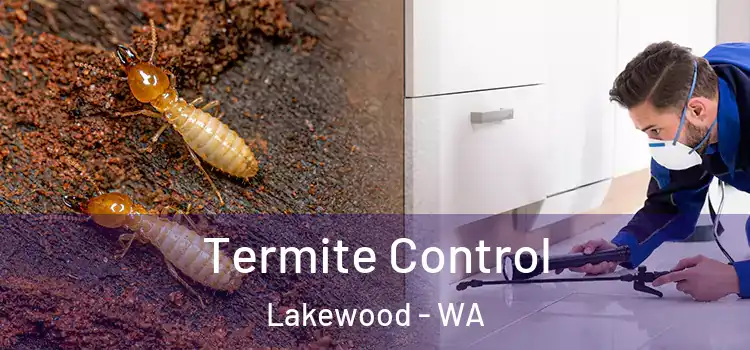  Termite Control Lakewood - WA