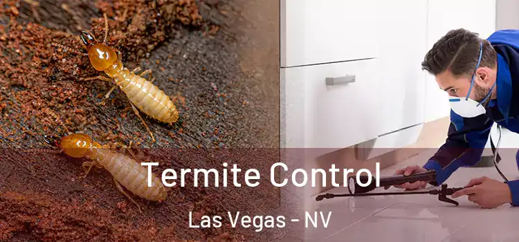  Termite Control Las Vegas - NV