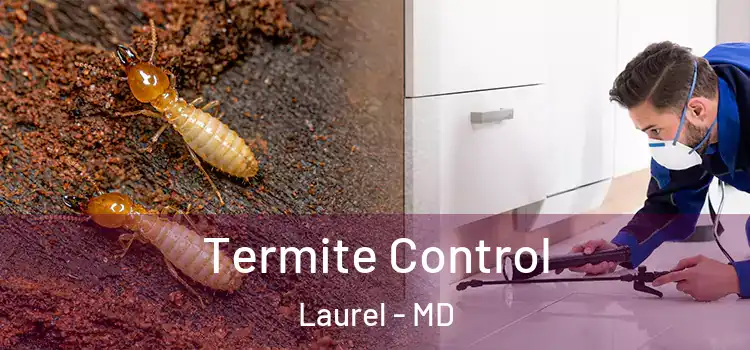  Termite Control Laurel - MD