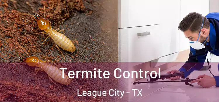  Termite Control League City - TX