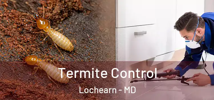  Termite Control Lochearn - MD