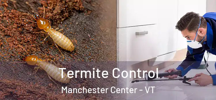  Termite Control Manchester Center - VT