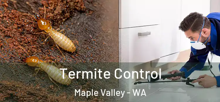  Termite Control Maple Valley - WA