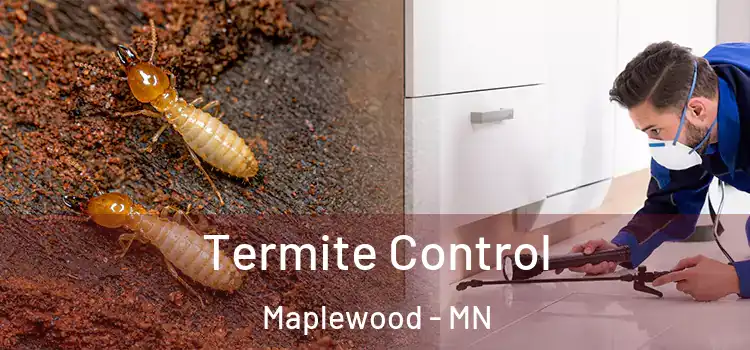  Termite Control Maplewood - MN