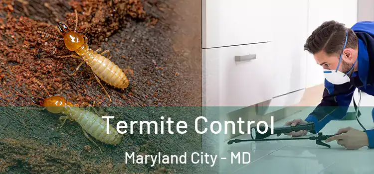  Termite Control Maryland City - MD