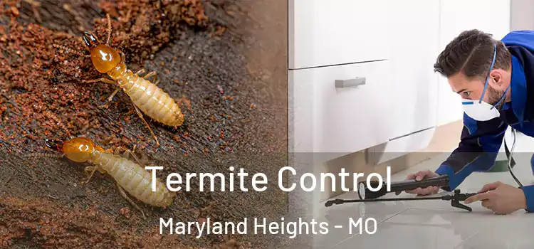  Termite Control Maryland Heights - MO