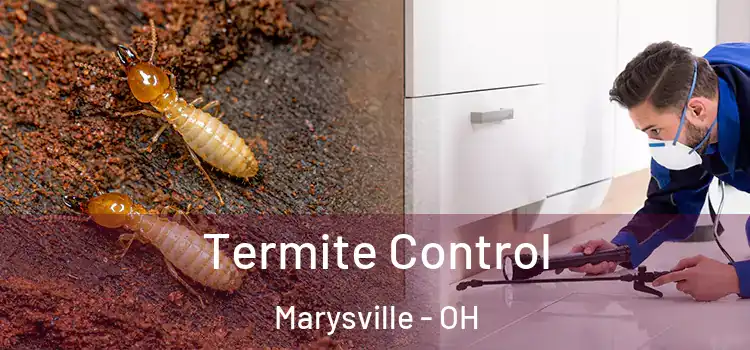  Termite Control Marysville - OH