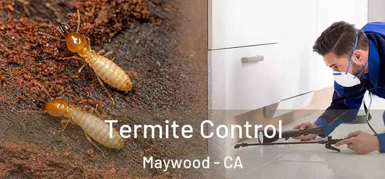  Termite Control Maywood - CA