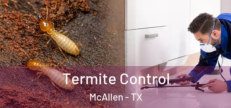 Termite Control McAllen - TX