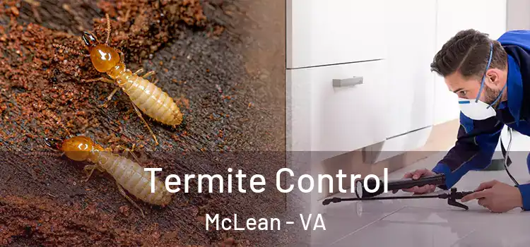 Termite Control McLean - VA