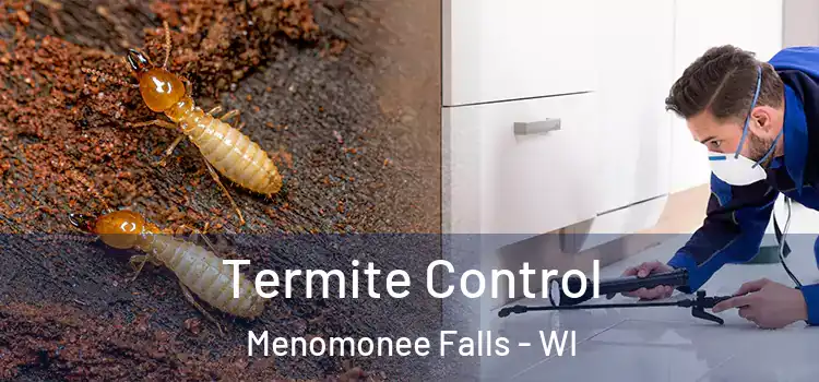 Termite Control Menomonee Falls - WI