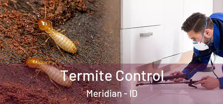  Termite Control Meridian - ID