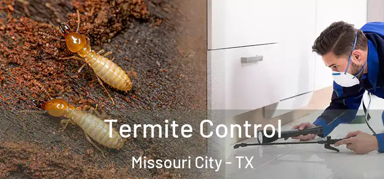  Termite Control Missouri City - TX