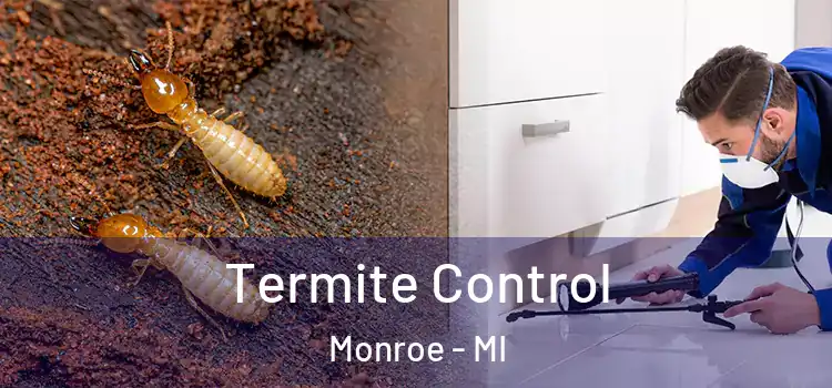 Termite Control Monroe - MI