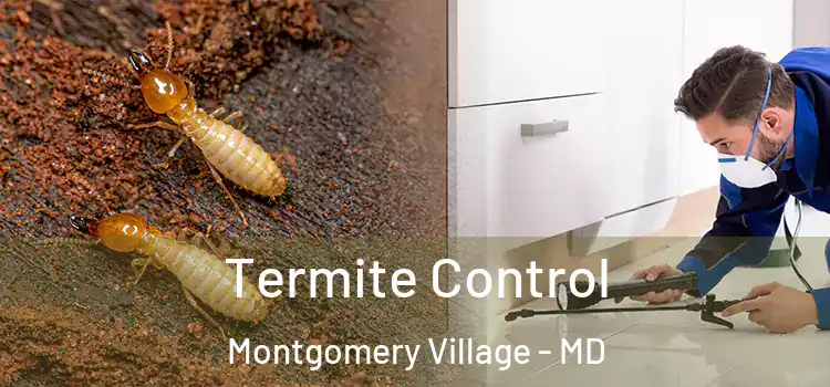 Termite Control Montgomery Village - MD