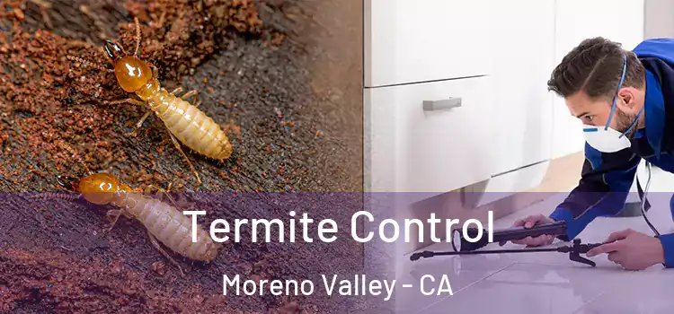  Termite Control Moreno Valley - CA