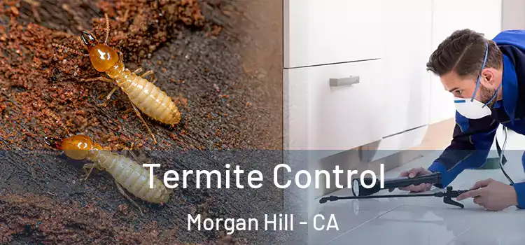  Termite Control Morgan Hill - CA