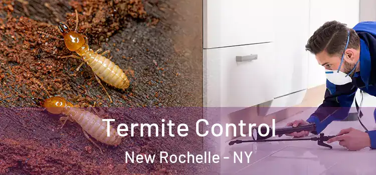  Termite Control New Rochelle - NY