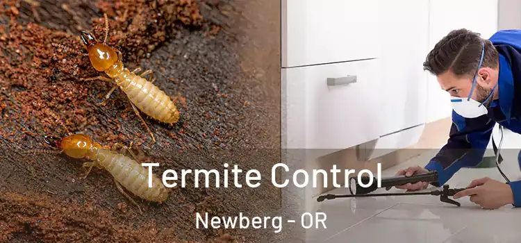 Termite Control Newberg - OR