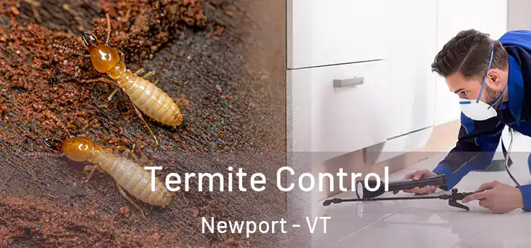 Termite Control Newport - VT