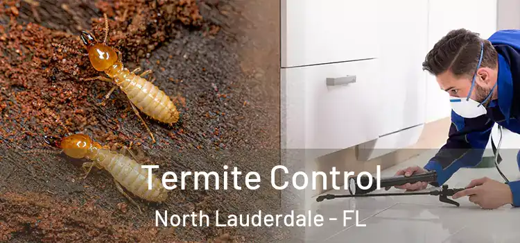  Termite Control North Lauderdale - FL