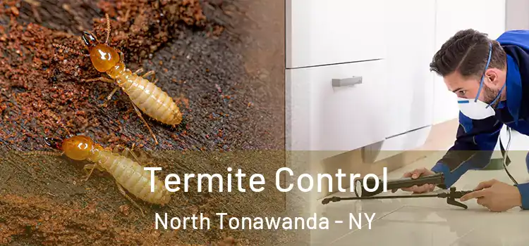  Termite Control North Tonawanda - NY