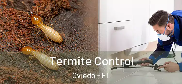  Termite Control Oviedo - FL