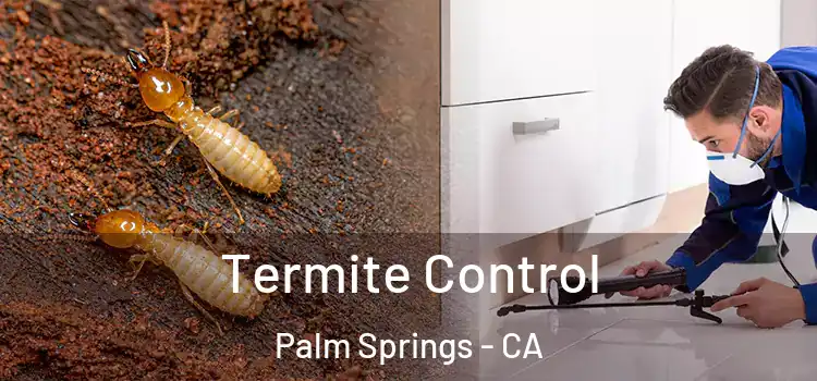  Termite Control Palm Springs - CA