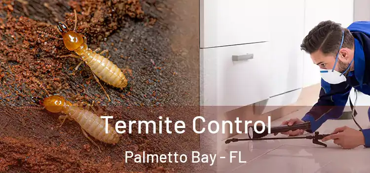 Termite Control Palmetto Bay - FL