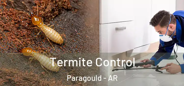  Termite Control Paragould - AR