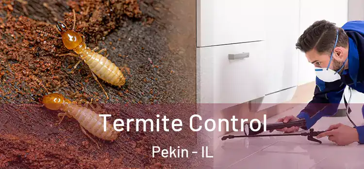  Termite Control Pekin - IL
