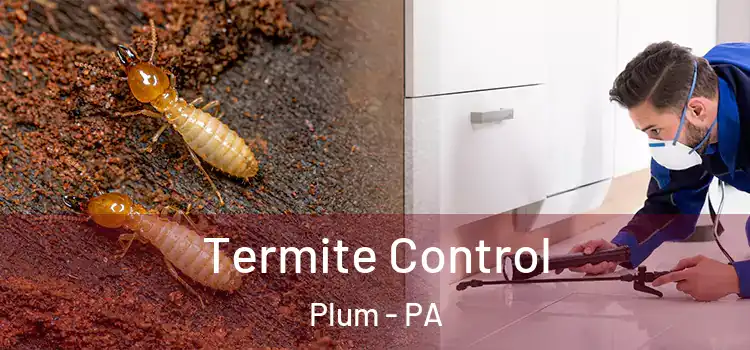  Termite Control Plum - PA