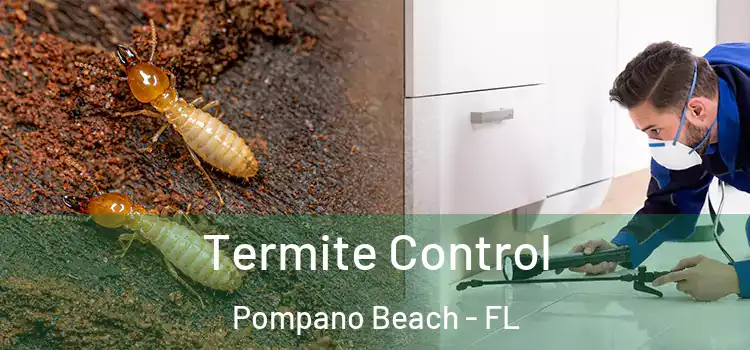 Termite Control Pompano Beach - FL