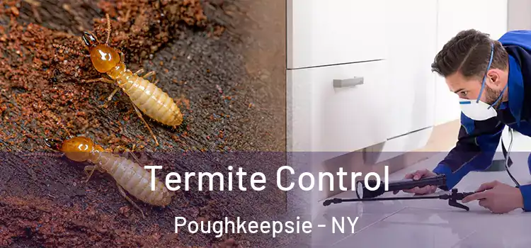Termite Control Poughkeepsie - NY