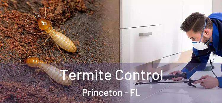 Termite Control Princeton - FL