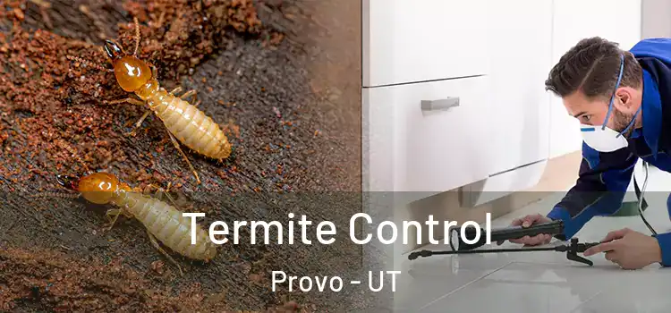  Termite Control Provo - UT