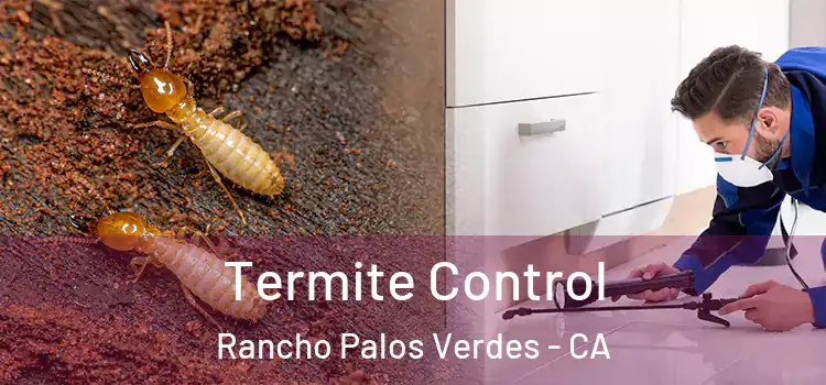  Termite Control Rancho Palos Verdes - CA