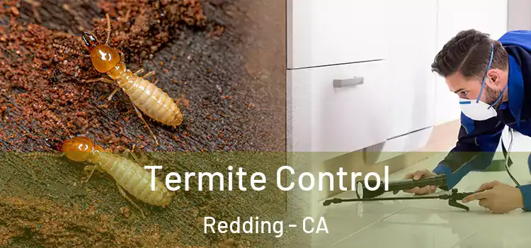  Termite Control Redding - CA