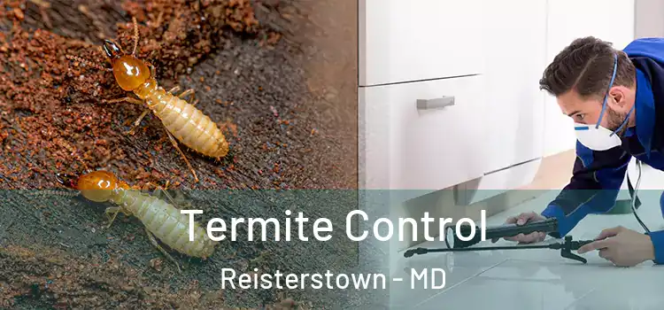  Termite Control Reisterstown - MD