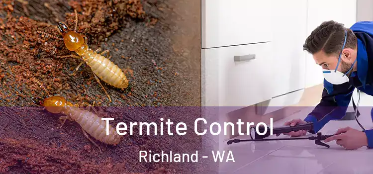  Termite Control Richland - WA