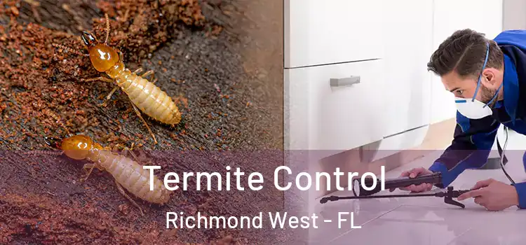 Termite Control Richmond West - FL