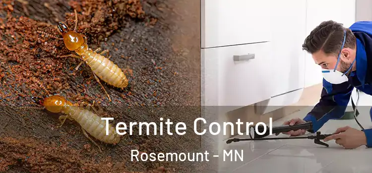 Termite Control Rosemount - MN