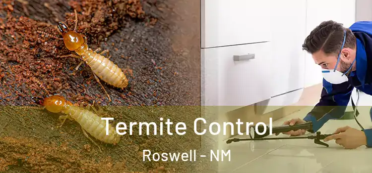  Termite Control Roswell - NM