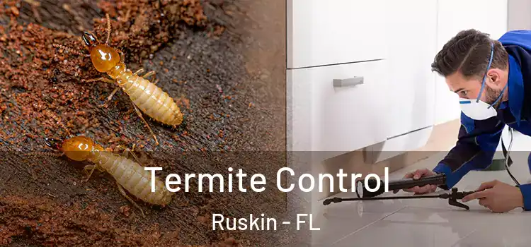  Termite Control Ruskin - FL