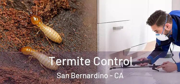  Termite Control San Bernardino - CA