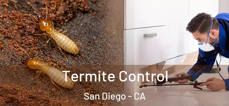  Termite Control San Diego - CA