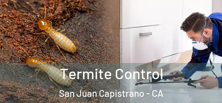  Termite Control San Juan Capistrano - CA