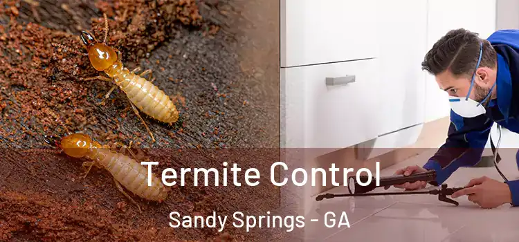  Termite Control Sandy Springs - GA