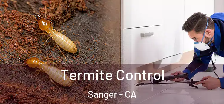  Termite Control Sanger - CA